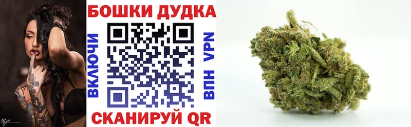 Где можно купить наркотики Полысаево A PVP  Cocaine  ГАШИШ  Меф  Каннабис 
