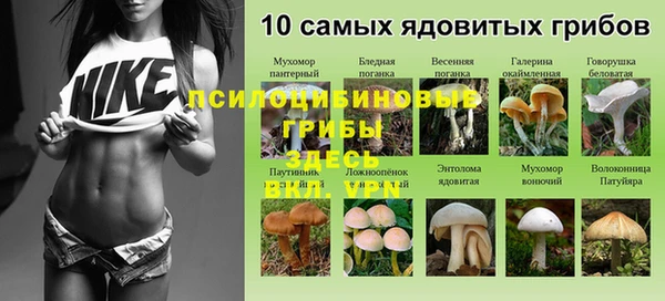 spice Алексин