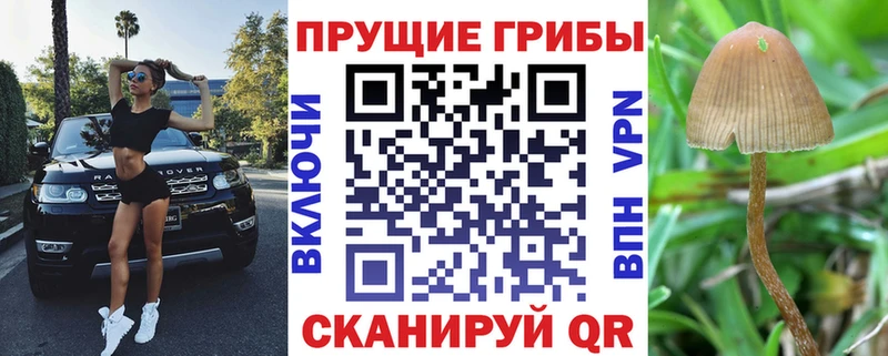 как найти закладки  mega рабочий сайт  Галлюциногенные грибы MAGIC MUSHROOMS  Полысаево 